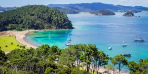 Bay of Islands showcases a beautiful landscape of green river