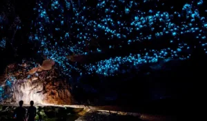 Blue lights shows the Waitomo Glowworm Caves of New Zealand