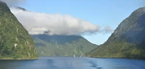 ocean, river and blue sky of milford sound like New Zealand.
